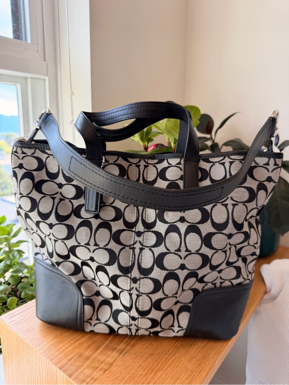 🖤Coach Signature Canvas Tote Bag in Black/Khaki